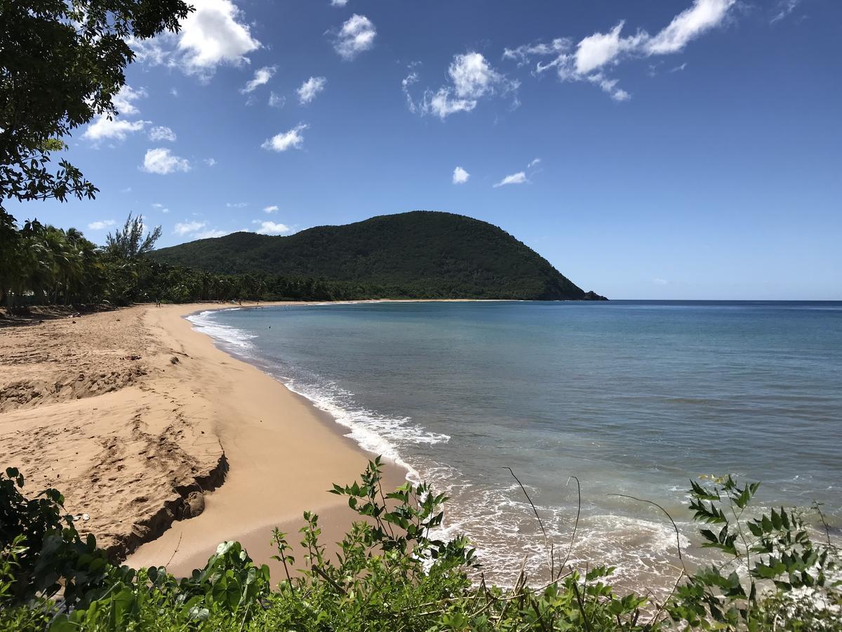 Апартаменты Appart Coeur De Rhum Пуэнт-а-Питр Экстерьер фото